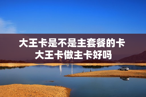 大王卡是不是主套餐的卡 大王卡做主卡好吗