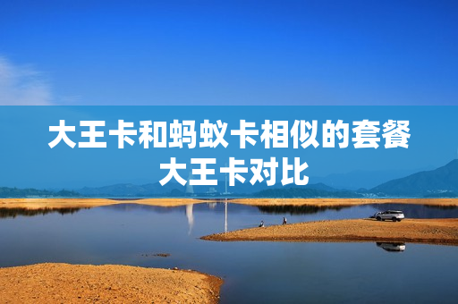 大王卡和蚂蚁卡相似的套餐 大王卡对比