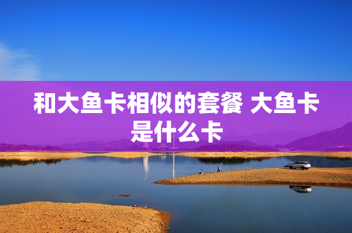 和大鱼卡相似的套餐 大鱼卡是什么卡