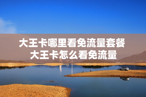 大王卡哪里看免流量套餐 大王卡怎么看免流量