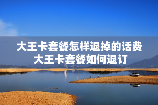 大王卡套餐怎样退掉的话费 大王卡套餐如何退订