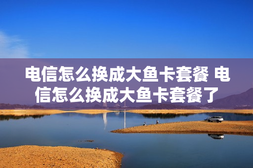 电信怎么换成大鱼卡套餐 电信怎么换成大鱼卡套餐了