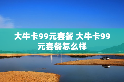 大牛卡99元套餐 大牛卡99元套餐怎么样