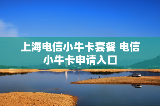 上海电信小牛卡套餐 电信小牛卡申请入口