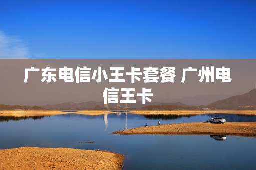 广东电信小王卡套餐 广州电信王卡