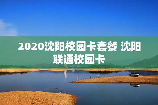 2020沈阳校园卡套餐 沈阳联通校园卡