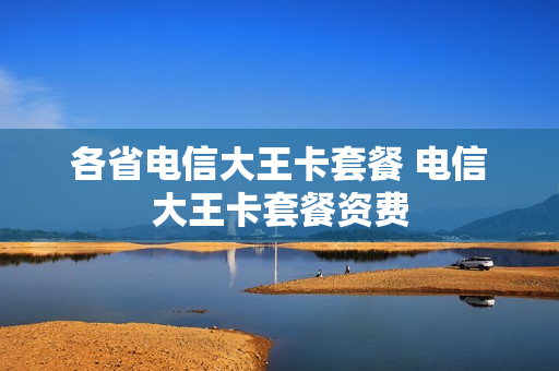 各省电信大王卡套餐 电信大王卡套餐资费