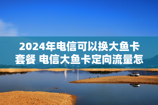 2024年电信可以换大鱼卡套餐 电信大鱼卡定向流量怎么使用