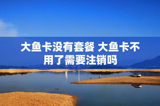 大鱼卡没有套餐 大鱼卡不用了需要注销吗
