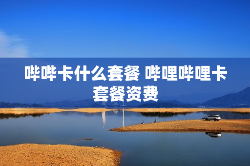 哔哔卡什么套餐 哔哩哔哩卡套餐资费