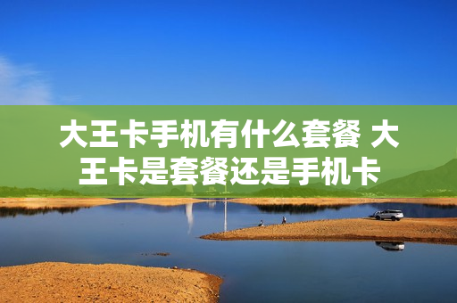大王卡手机有什么套餐 大王卡是套餐还是手机卡