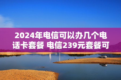 2024年电信可以办几个电话卡套餐 电信239元套餐可以办几张副卡