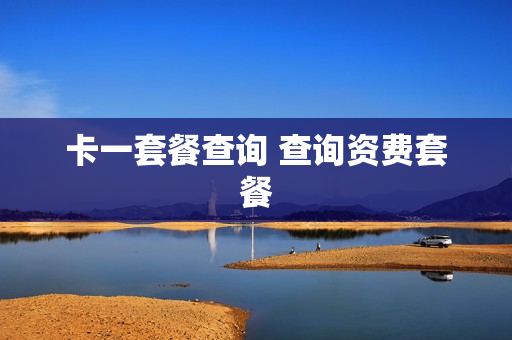 卡一套餐查询 查询资费套餐