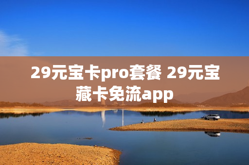 29元宝卡pro套餐 29元宝藏卡免流app
