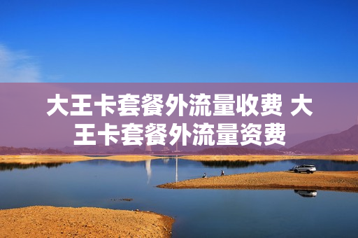 大王卡套餐外流量收费 大王卡套餐外流量资费