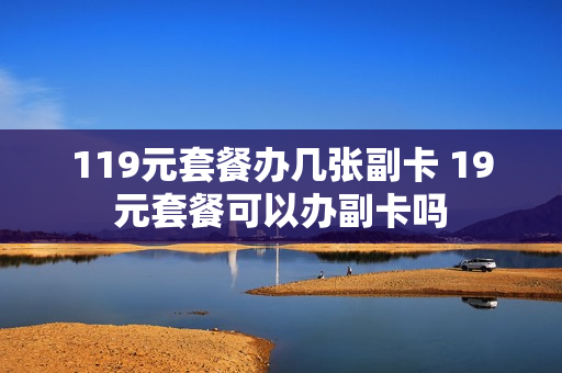 119元套餐办几张副卡 19元套餐可以办副卡吗