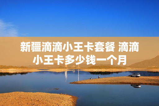 新疆滴滴小王卡套餐 滴滴小王卡多少钱一个月