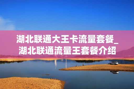 湖北联通大王卡流量套餐_湖北联通流量王套餐介绍