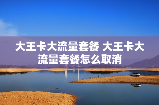 大王卡大流量套餐 大王卡大流量套餐怎么取消