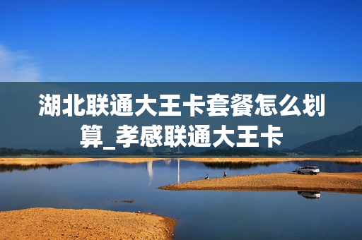 湖北联通大王卡套餐怎么划算_孝感联通大王卡