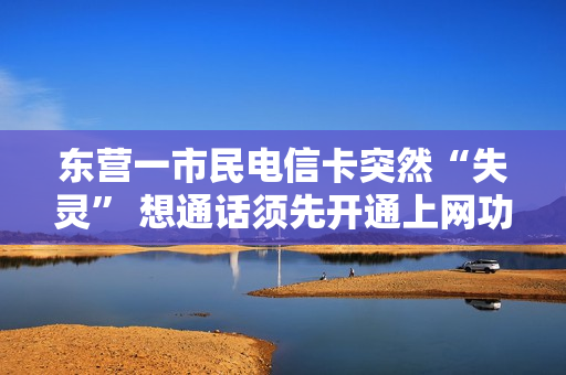 东营一市民电信卡突然“失灵” 想通话须先开通上网功能