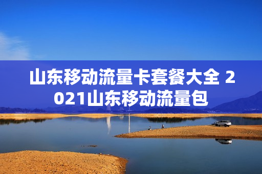 山东移动流量卡套餐大全 2021山东移动流量包