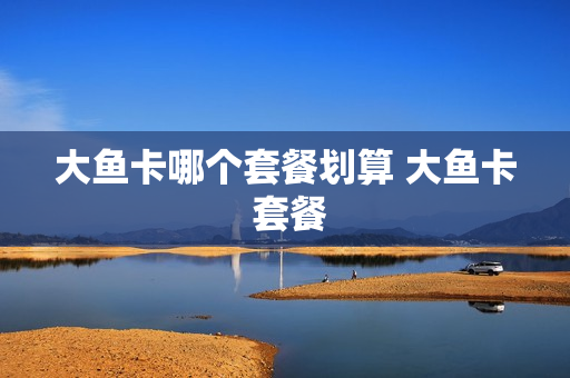 大鱼卡哪个套餐划算 大鱼卡 套餐