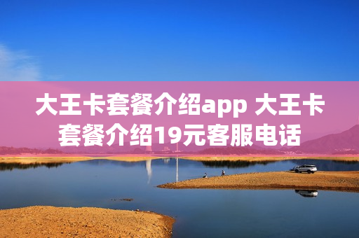 大王卡套餐介绍app 大王卡套餐介绍19元客服电话