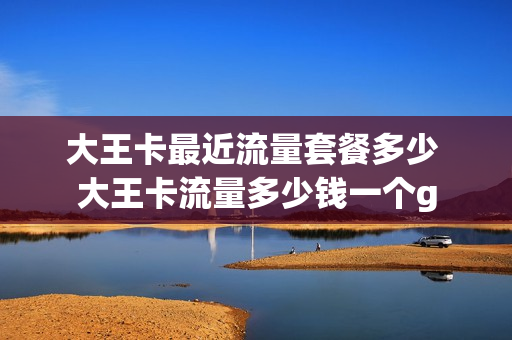 大王卡最近流量套餐多少 大王卡流量多少钱一个g