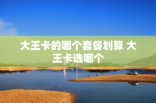 大王卡的哪个套餐划算 大王卡选哪个
