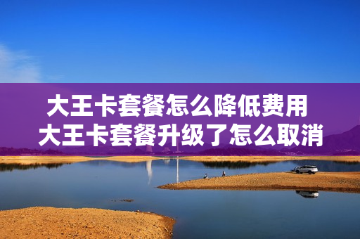 大王卡套餐怎么降低费用 大王卡套餐升级了怎么取消