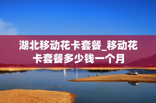 湖北移动花卡套餐_移动花卡套餐多少钱一个月