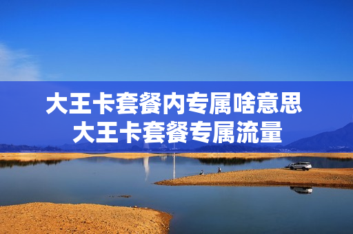 大王卡套餐内专属啥意思 大王卡套餐专属流量