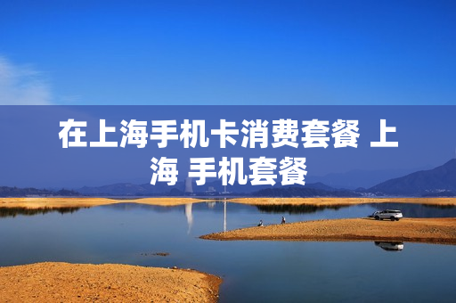 在上海手机卡消费套餐 上海 手机套餐