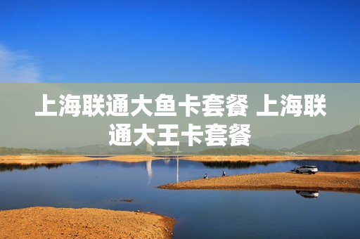 上海联通大鱼卡套餐 上海联通大王卡套餐