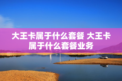 大王卡属于什么套餐 大王卡属于什么套餐业务