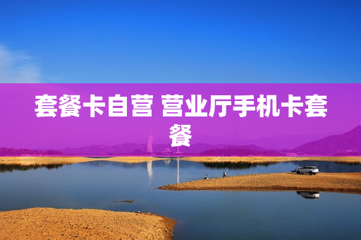 套餐卡自营 营业厅手机卡套餐