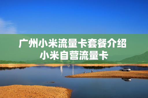 广州小米流量卡套餐介绍 小米自营流量卡