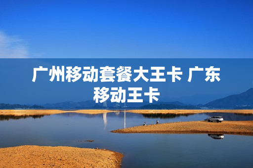 广州移动套餐大王卡 广东移动王卡