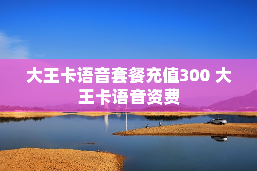 大王卡语音套餐充值300 大王卡语音资费