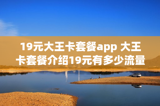 19元大王卡套餐app 大王卡套餐介绍19元有多少流量