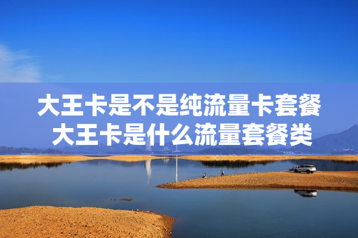 大王卡是不是纯流量卡套餐 大王卡是什么流量套餐类型
