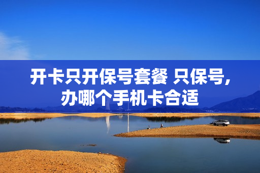开卡只开保号套餐 只保号,办哪个手机卡合适