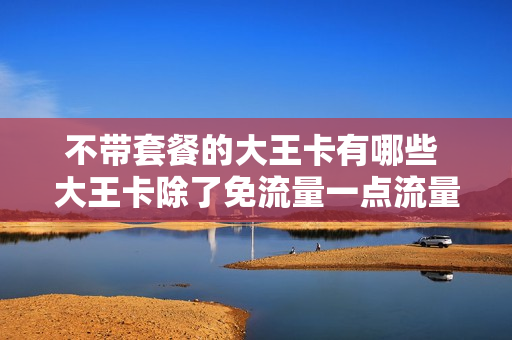 不带套餐的大王卡有哪些 大王卡除了免流量一点流量也不带吗