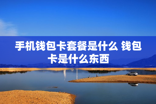 手机钱包卡套餐是什么 钱包卡是什么东西