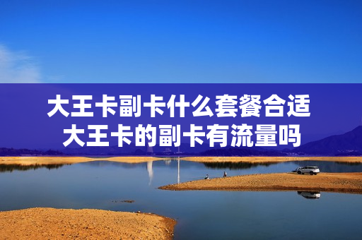 大王卡副卡什么套餐合适 大王卡的副卡有流量吗