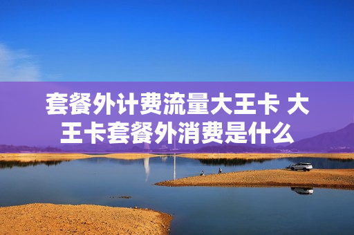 套餐外计费流量大王卡 大王卡套餐外消费是什么