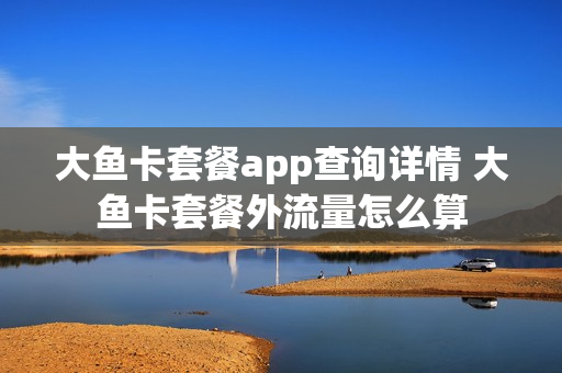 大鱼卡套餐app查询详情 大鱼卡套餐外流量怎么算