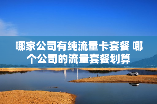 哪家公司有纯流量卡套餐 哪个公司的流量套餐划算