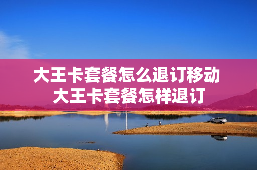 大王卡套餐怎么退订移动 大王卡套餐怎样退订